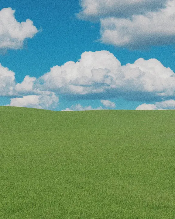 Touch Grass: social post · blank