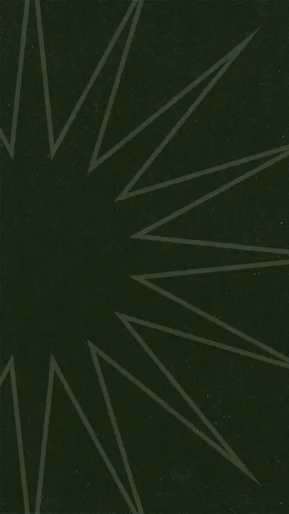 Summer Camp: story · blank