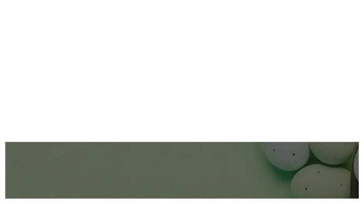 Easter Egg Hunt: lower third · blank