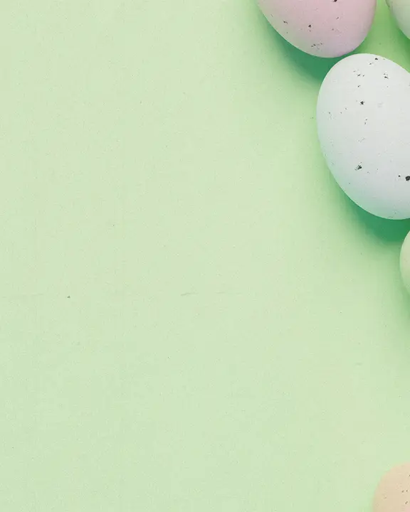 Easter Egg Hunt: social post · blank