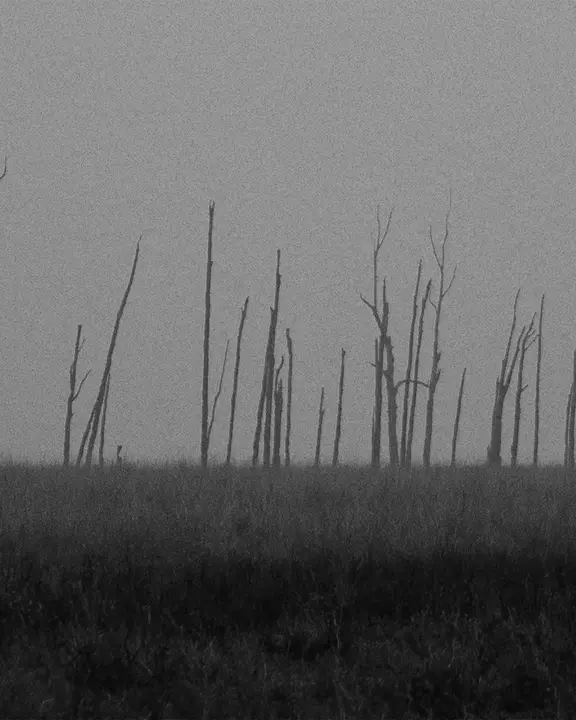 Good Friday: social post · blank