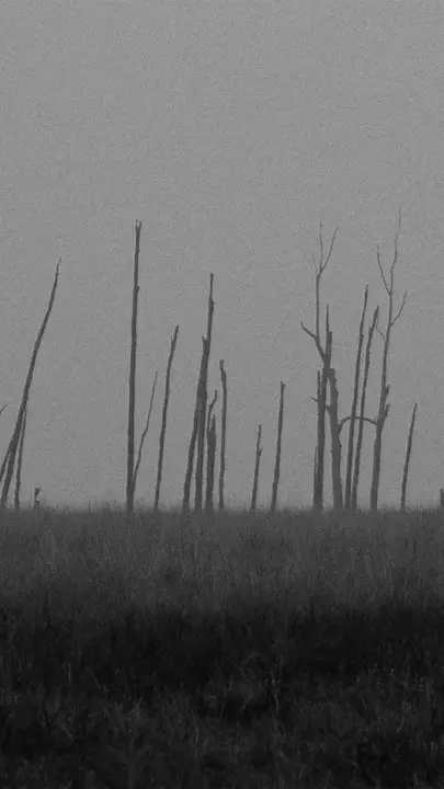Good Friday: story · blank