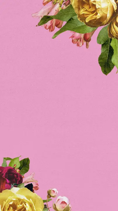 Women’s Ministry: story · blank