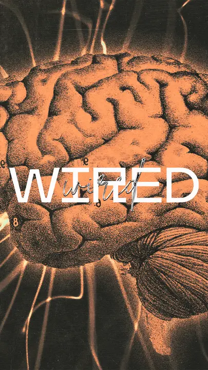 Wired: story