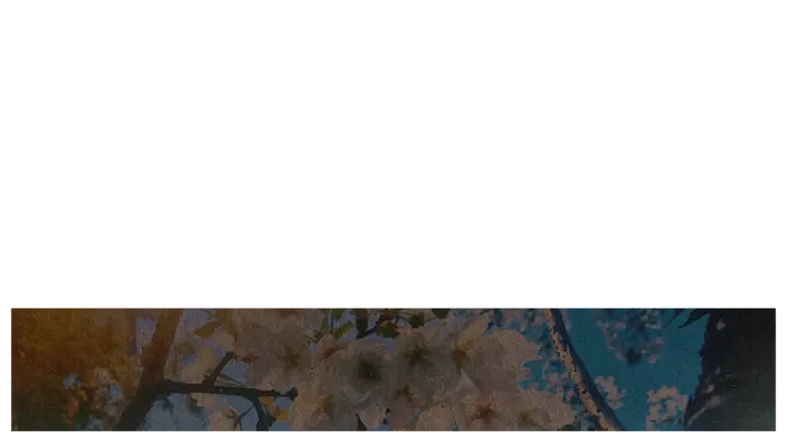 Mother’s Day: lower third · blank