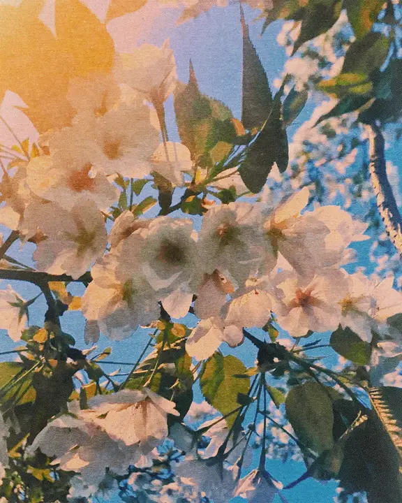 Mother’s Day: social post · blank