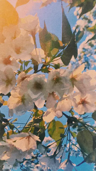 Mother’s Day: story · blank