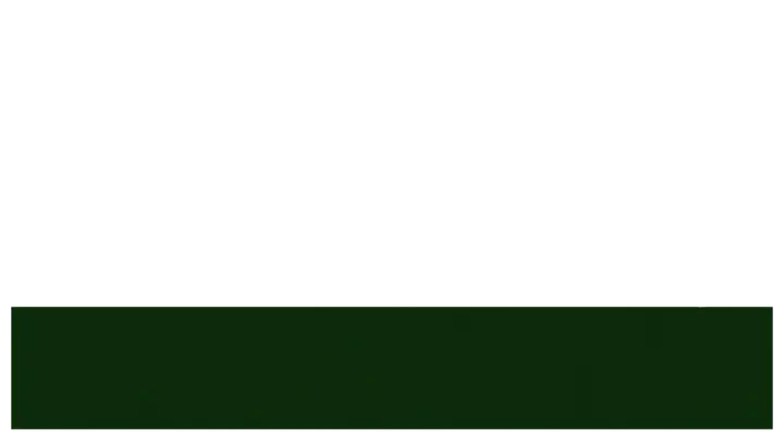 St. Patricks Day: lower third · blank
