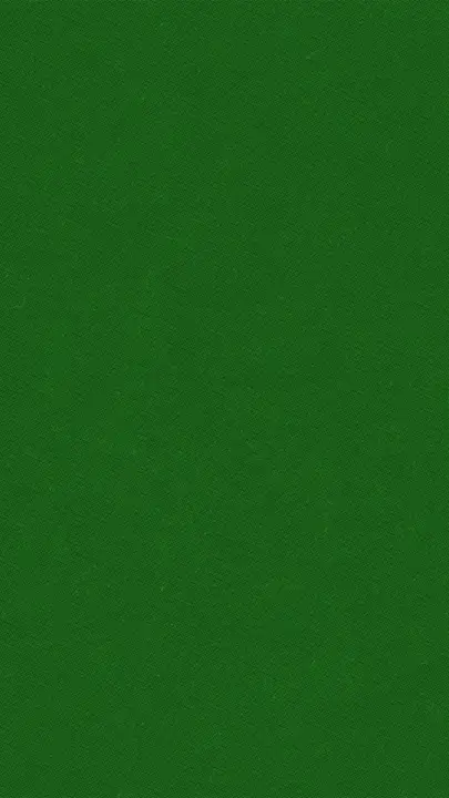St. Patricks Day: story · blank