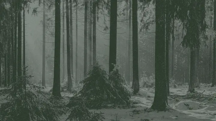 Mid Winter Retreat: 4K slide · blank
