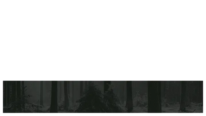 Mid Winter Retreat: lower third · blank