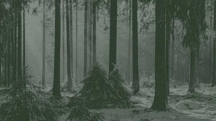 Mid Winter Retreat: HD slide · blank