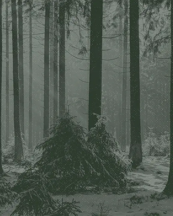 Mid Winter Retreat: social post · blank