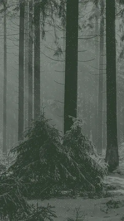 Mid Winter Retreat: story · blank