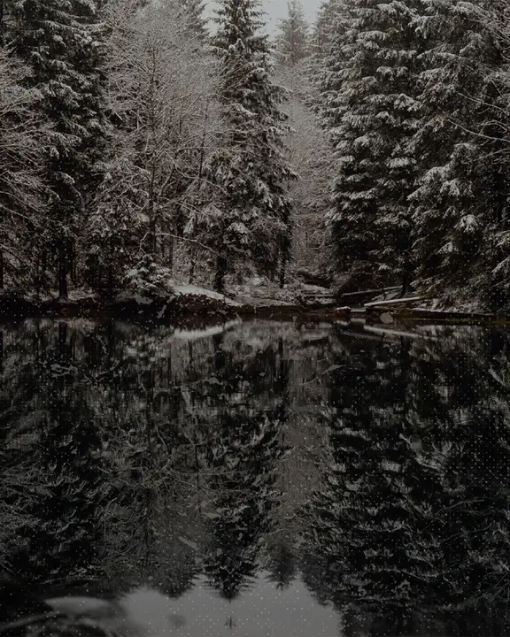Winter Retreat: social post · blank