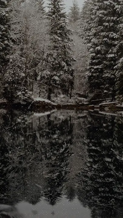 Winter Retreat: story · blank