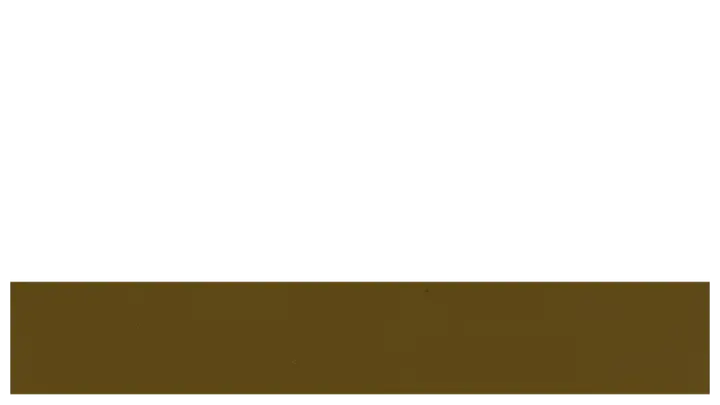 Christmas: lower third 2 · blank