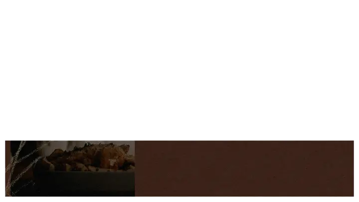 Friendsgiving: lower third · blank