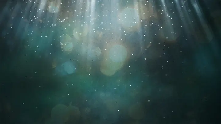 Light Of The World: title slide · blank