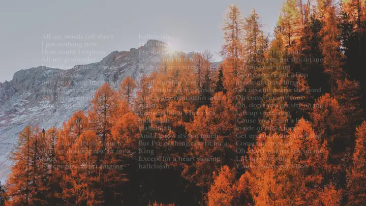 Gratitude: 4K slide · blank