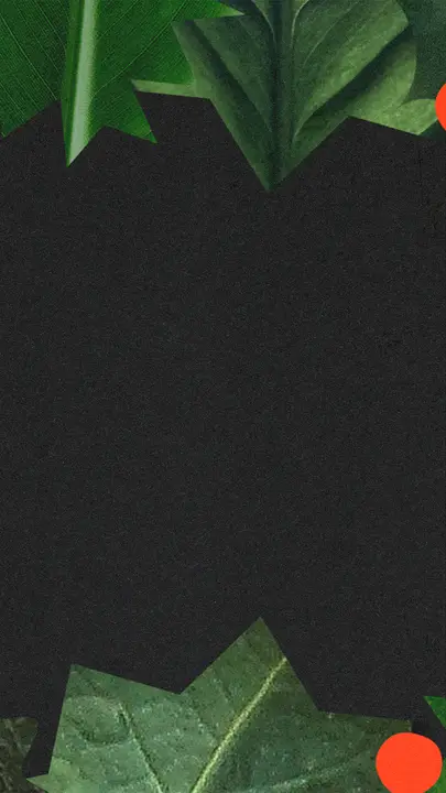 Christmas: story · blank