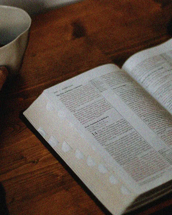 Bible 101: social post · blank