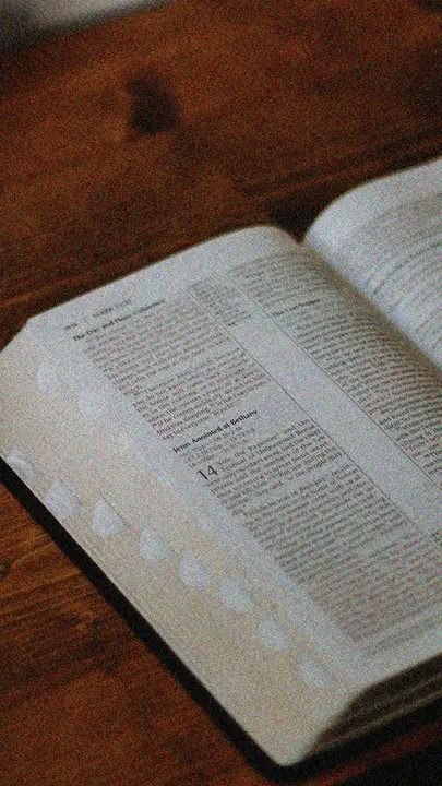 Bible 101: story · blank