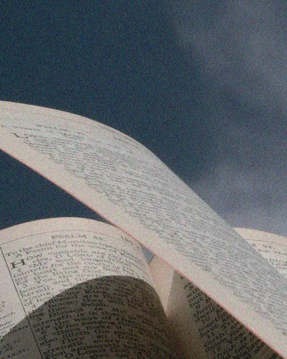 Bible 101: social post · blank