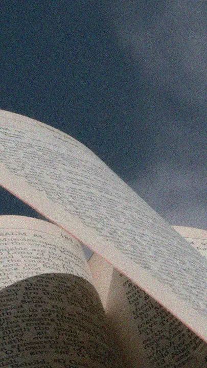 Bible 101: story · blank