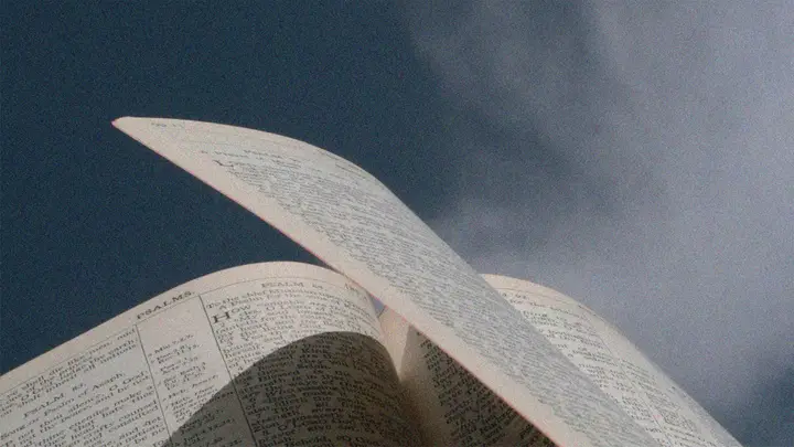 Bible 101: title slide · blank