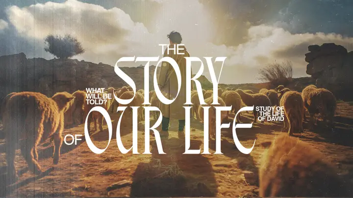 The Story of Our Life: 4K slide