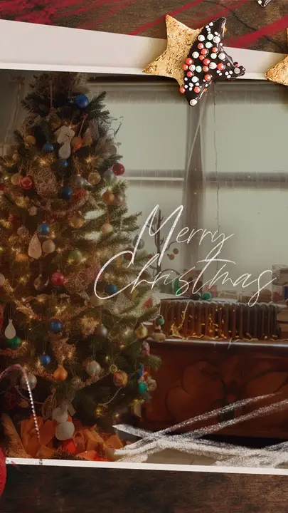 Merry Christmas: story