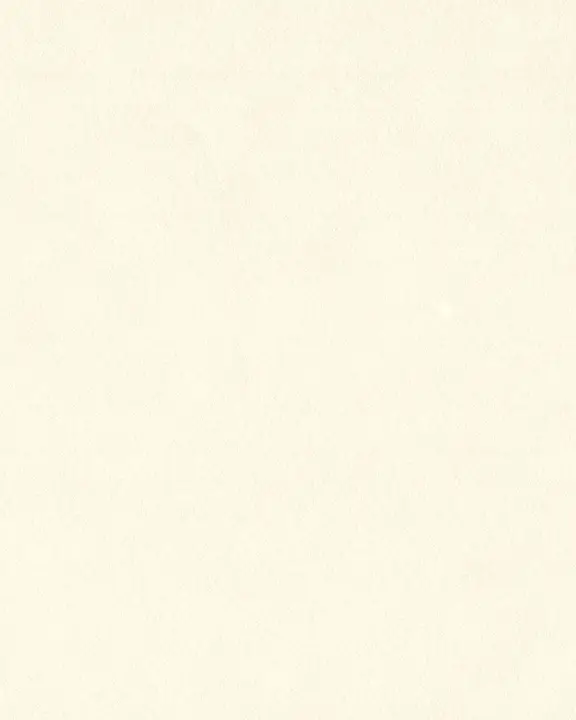 Christmas: social post · blank