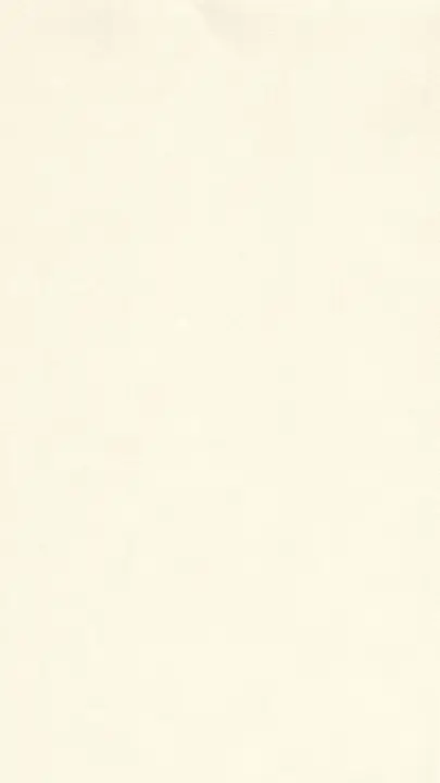 Christmas: story · blank