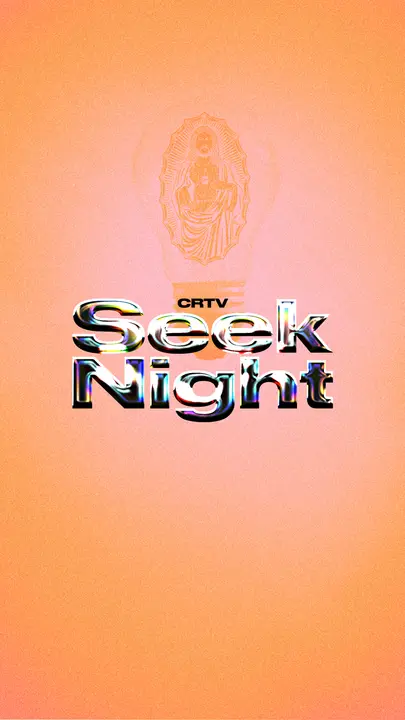 Seek Night: story