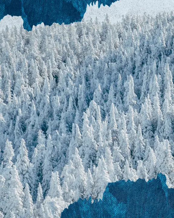 Winter Retreat: social post · blank
