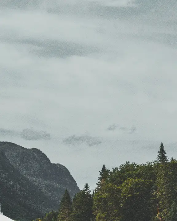 Winter Retreat: social post · blank