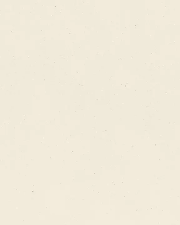 Christmas Party: social post · blank
