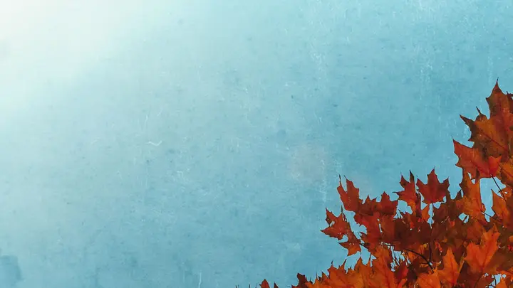 Fall Fest: blank slide