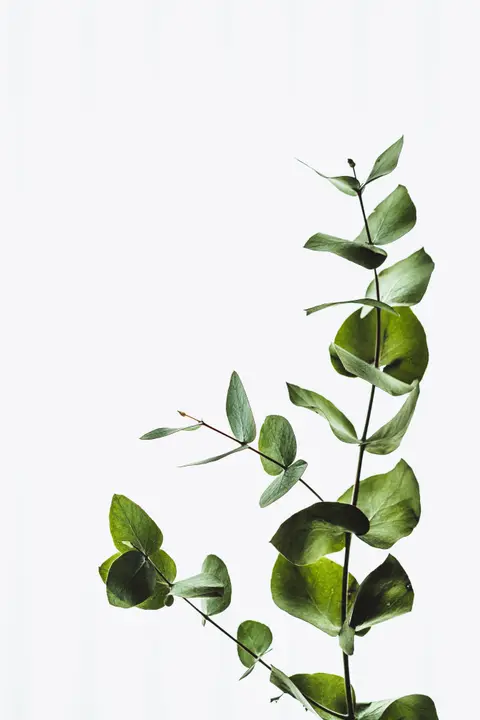 Growth Track: photo 1