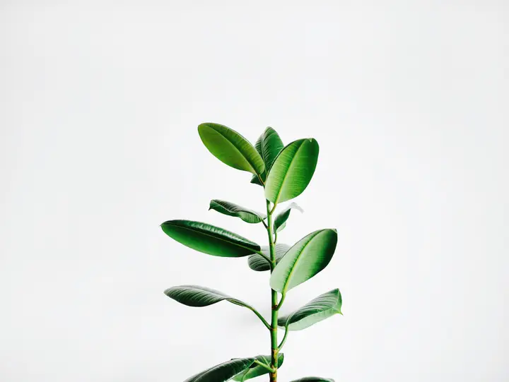 Growth Track: photo 4