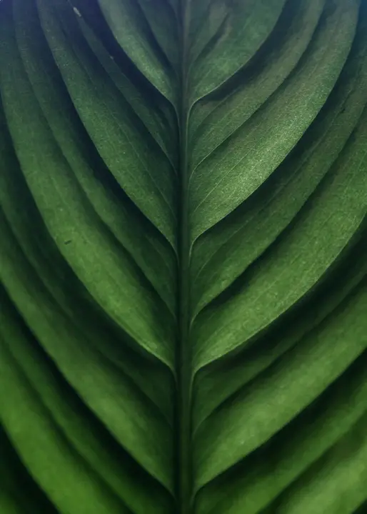 Growth Track: photo 5