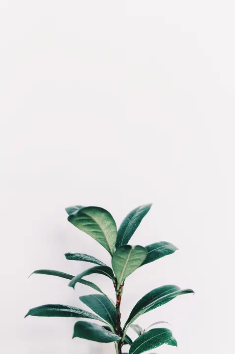 Growth Track: photo 6