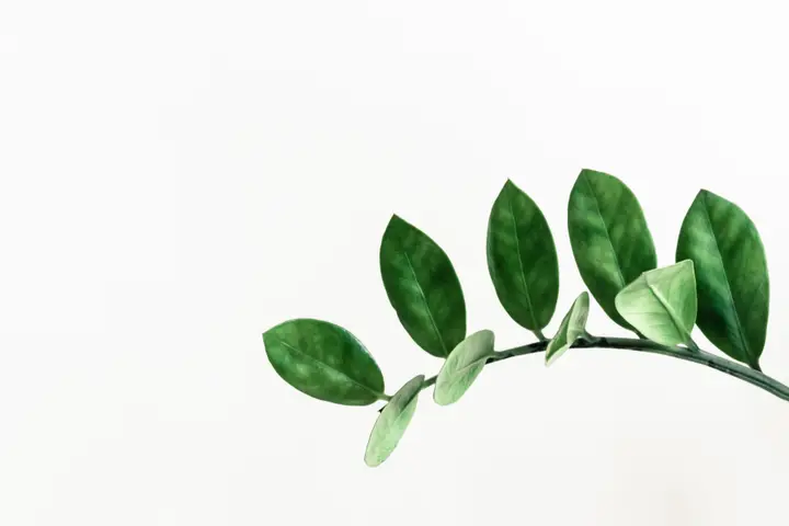 Growth Track: photo 7