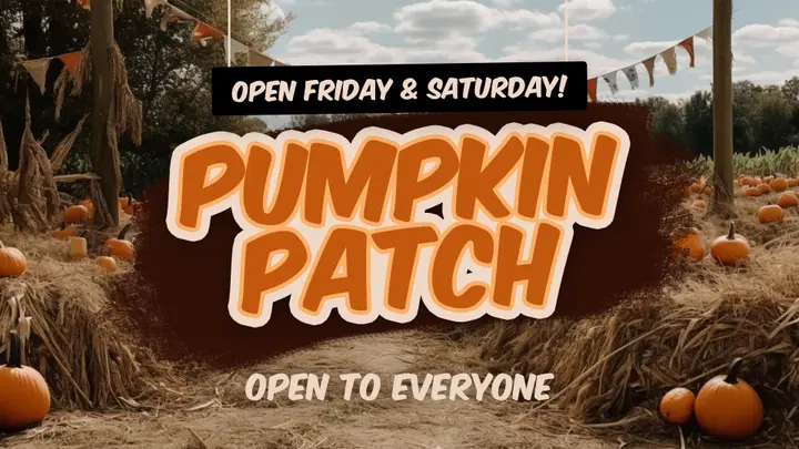 Pumpkin Patch: slide