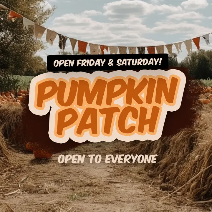 Pumpkin Patch: social post