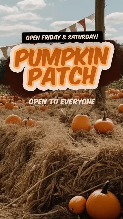 Pumpkin Patch: story