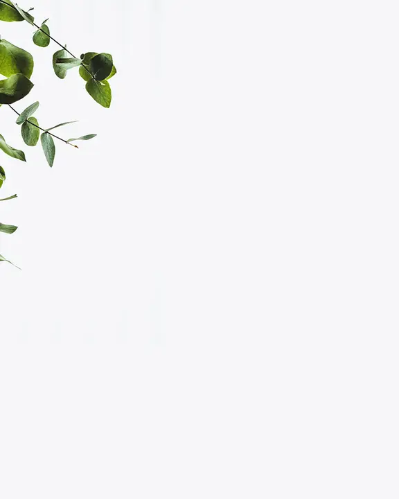 Women’s Growth Groups: social post · blank