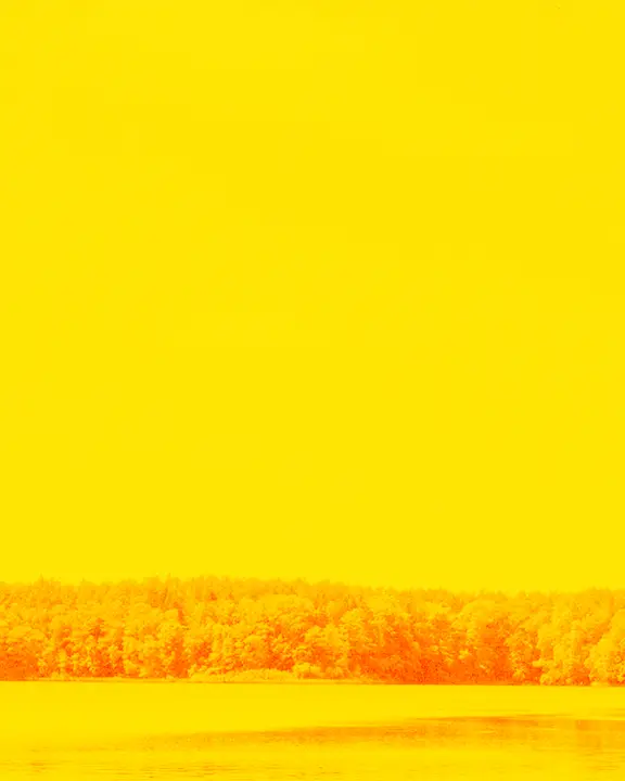 Lake Day: social post · blank