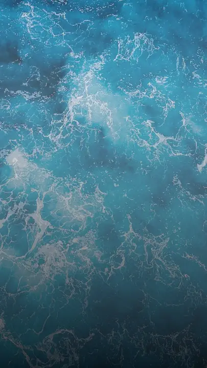 Beach Baptism: story · blank